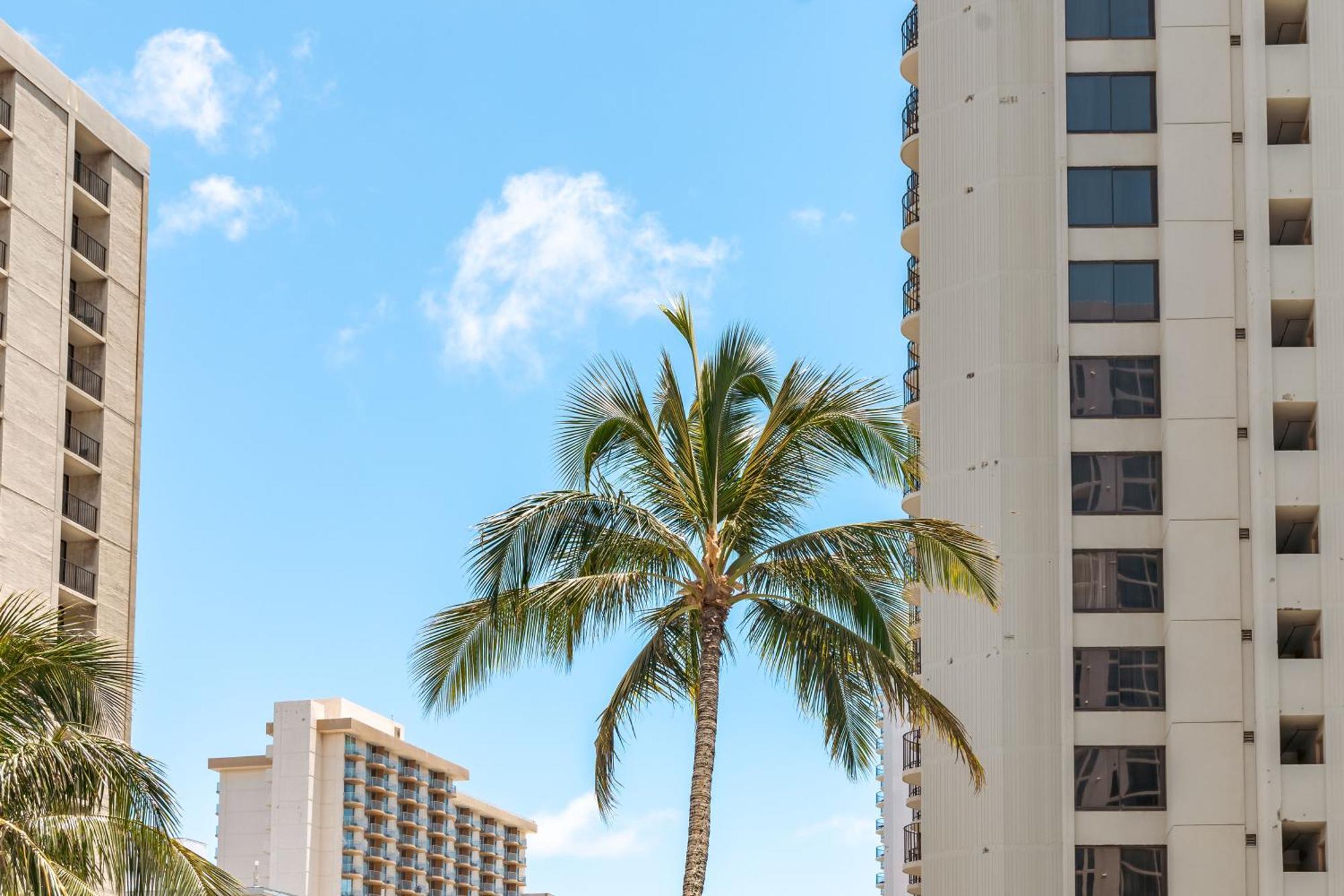 Waikiki Banyan 1Br With Great Ocean Views, Steps To Beach & Parking! Honolulu Extérieur photo