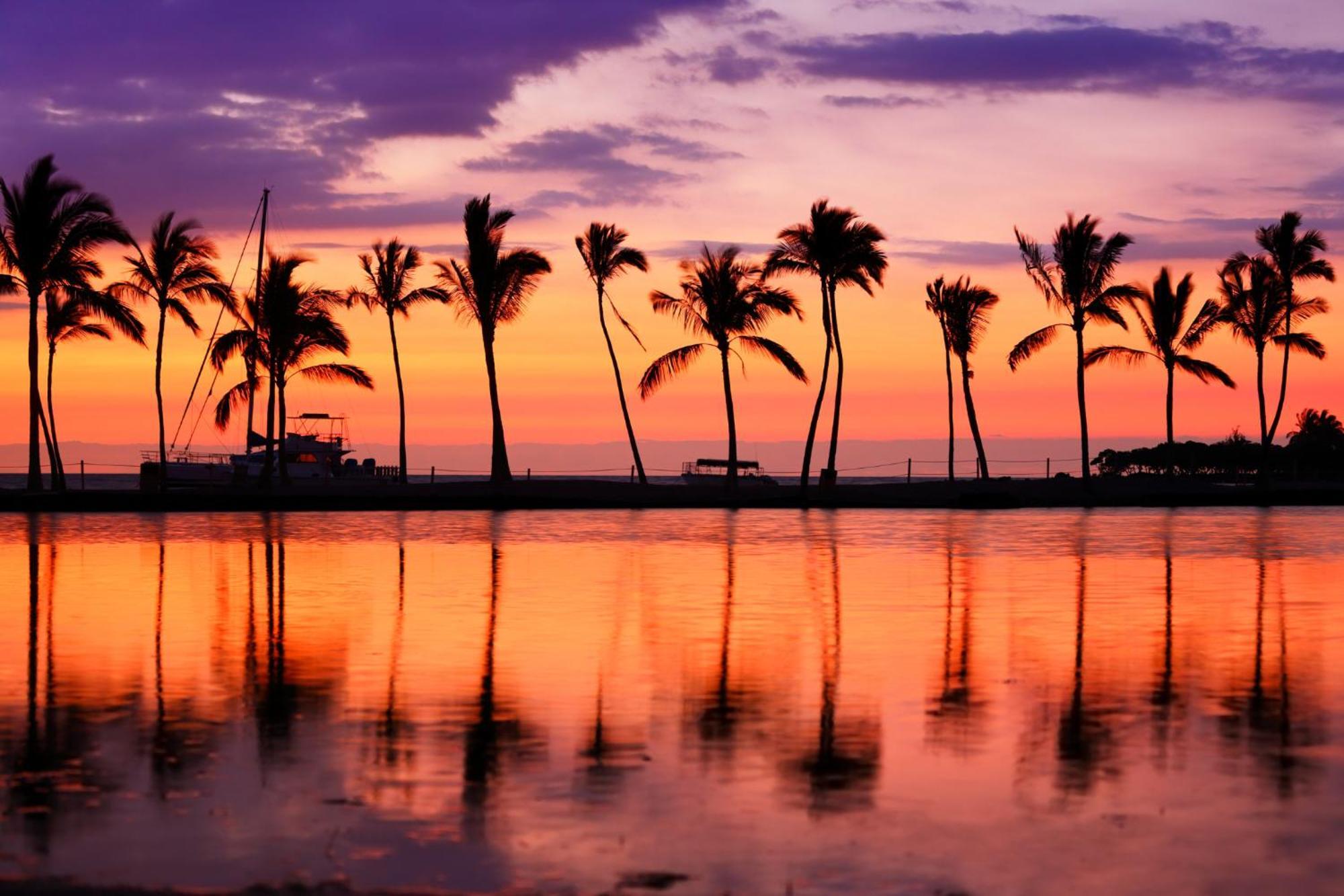 Waikiki Banyan 1Br With Great Ocean Views, Steps To Beach & Parking! Honolulu Extérieur photo